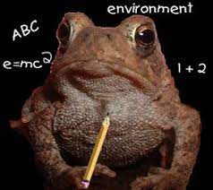 Toadily Toads Presents Toadily For Kids Learning About Toads. Learn About  Frogs And The Environment. How To Tell The Difference Between A Frog And A  Toad