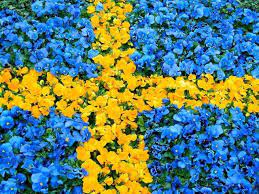 Alcuni paesi hanno festività religiose, ma la svezia è più avanti di tutti e celebra, ad esempio. Twitter à¤ªà¤° Creditsafe Sverige Grattis Sverige Pa Nationaldagen Idag Firar Vi I Solen Och Kontoret Ar Stangt Valkommen Att Kontakta Oss Igen Imorgon Https T Co Ietypl4mq9