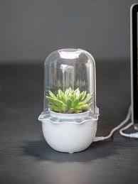 Desktop Planter With Grow Light For Succulents Gardener S Supply