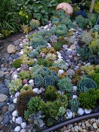 There are many ways to design a cacti garden. Home Dzine Garden Ideas Create A Succulent Garden