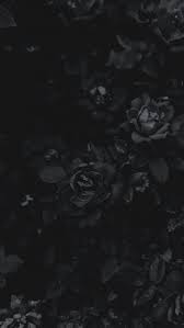 Feel free to send us your own wallpaper and we will consider adding it to appropriate category. Black Flowers Wallpaper Wallpaper Sun
