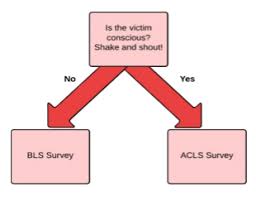 Free 2019 Acls Study Guide Acls Made Easy