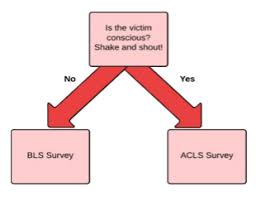 free 2019 acls study guide acls made easy