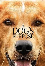Pin By 123movies On Best Family Movies 2017 Watch Online Putlocker A Dogs Purpose A Dogs Purpose Movie Dog Movies