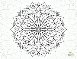 See the presented collection for dahlia coloring. Flower Adult Coloring Pages Coloring Home