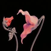Pink floyd the wall flowers scene hd. Pin De Vaso Delirium En Fotos Imagenes Animadas Gif De Flores Pink Floyd