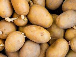 Nadine, kestrel, maris peer, estima and wilja are excellent second earlies for boiling. Sprouted Potatoes Are They Safe To Eat