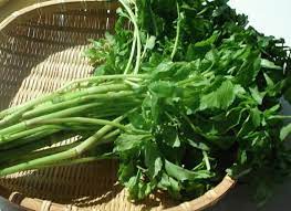 Minari Water Dropwort Korean Cooking Herbs Cooking Ingredients