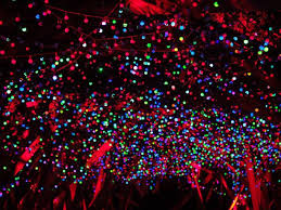 Find Out Where To See Christmas Lights In L A This Year Christmas Lights Near Me Christmas Lights Christmas Events
