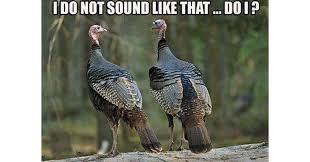 13 Memes Every Turkey Hunter Wants To Share Pics Hunting Humor Funny Hunting Pics Funny Turkey Pictures