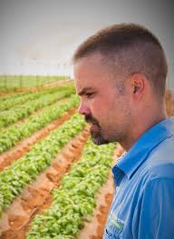 Jacobs Farm Del Cabo Breeding Organic Cherry Tomatoes for Flavor