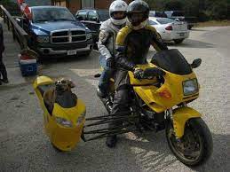 Check Out This Picture On Answers Com Funny Motorcycle Motorcycle Sidecar Bike With Sidecar
