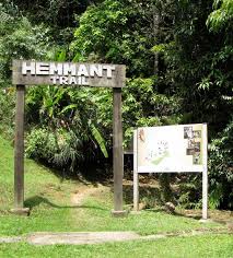 Selain genting highlands dan cameron highlands, bukit fraser yang terletak di sempadan di negeri selangor dan pahang turut mempunyai keunikannya yang tersendiri. 11 Tempat Menarik Di Fraser Hill Yang Wajib Anda Lawati Bidadari My