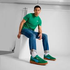 Image result for Pacific Green 2001 Puma