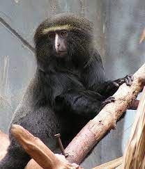 General Discussion Beautiful Nature Beautiful Nature Animal Pictures Animals