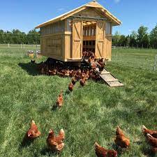 The Eggmobile Fermequatretemps Themarketgardener Chickens Backyard Mobile Chicken Coop Chickens