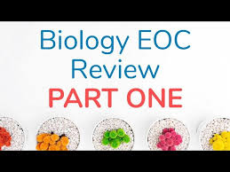 Click on the standard to open up the specific resources available for that standard. Biology Eoc Review Part 1 Youtube