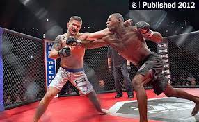 Mixed Martial Arts Catches On With The Internet Generation - The New York  Times