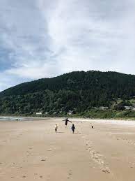 She doesn't believe in recycling. Our New Life On The Oregon Coast Forever Part One Bev Cooks