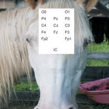 Len Ochs PhD's research works