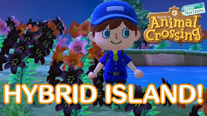 New horizons that may have you antsy waiting for the next day. Our Dreams Predictions For The Earth Day Update In Animal Crossing New Horizons Animal Crossing World