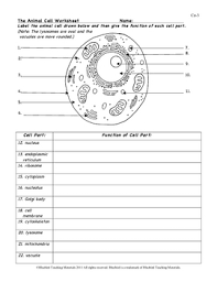 9 new photography of animal cell coloring labeled. The Animal Cell Worksheet Nidecmege