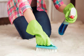 Wenn sie kinder, haustiere oder rotwein daheim haben, ist ihr teppich darauf. Teppich Reinigen Hausmittel Gerate Gegen Schmutz Flecken