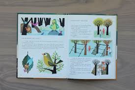 Img 6450 Book Layout Illustration Inspiration