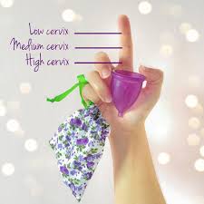 We did not find results for: How To Measure Your Cervix Height For A Menstrual Cup