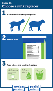 Know Before You Buy Lamb And Kid Milk Replacer Morning Ag Clips Kids Milk Goat Kidding Kids