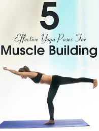 7 Effective Yoga Poses For Muscle Building Easy Yoga Workouts How To Do Yoga Yoga Poses