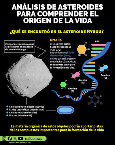 Universo | En el #DíaMundialDelARN te contamos sobre la teoría del origen  de la vida llamada "mundo del RNA". En ella se propone que el #ARN pudo  estar presente en los primeros