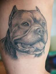 Best Pitbull Tattoo Designs Nature Of The Owner Tattoos Blog Dog Tattoos Pitbull Tattoo Dog Tattoo