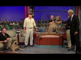 Turkish Dog Kangal Attacking Lion Tiger Youtube Kopek