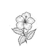 Hibiscus Sketch Flowers Flowers Hibiscus Sketch Hibiscus Hibiscus Flower Tattoos Hibiscus Tattoo Flower Tattoo