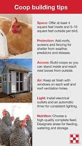 Building A Chicken Coop Chickens Backyard Chicken Coop Backyard Chicken Coop Plans