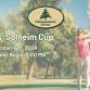 Ladies of Chippendale Solheim Cup