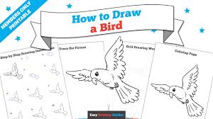 This step by step drawing app is suitable kids and everyone interested in drawing. How To Draw A Bird Easy Step By Step Drawing Guides