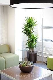 Interior Landscaping By Everything Grows Artificial Plant Arrangements Artificial Plants Outdoor Interior Design Plants