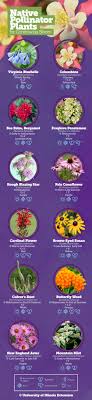 Maybe you would like to learn more about one of these? Learn How To Support Pollinators With Native Plants In Illinois Pollination Pollinator Garden Native Plants