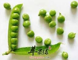Thus called because its seeds were first introduced to taiwan by dutch traders. è±Œè±†å'Œè·å…°è±†çš„åŒºåˆ«æ˜¯ä»€ä¹ˆ è‹¹æžœç»¿