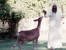  The Yogi Bhajan Library Of Teachings Yogi Bhajan Kundalini Yoga Yogi Bhajan Kundalini Yoga