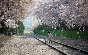 Tempat menarik di hokkaido japan pada musim salji muslim friendly. 12 Lokasi Menarik Di Luar Seoul Yang Mesti Anda Kunjungi Jika Ke Korea Selatan