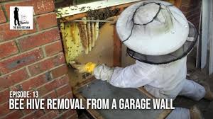 Uses equipment and protective gear to shield from bee attacks and remove the bees and their nests. Bee Hive Removal From A Garage Wall The Bush Bee Man Youtube