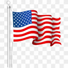 Green body of dragonfly with almost. American Flag Png Png Transparent For Free Download Pngfind