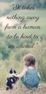 The Dodo For Animal People Animal Quotes Dog Quotes Cat Shirts Funny