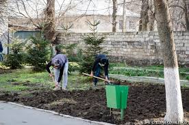 Filip constantin titian, stefan dumitru, cornel cosmulescu, acestia fiind obligati sa presteze munca in folosul comunitatii. Munca NeremuneratÄƒ In Folosul ComunitÄƒÈ›ii Va Putea Fi ExecutatÄƒ PanÄƒ La Opt Ore Pe Zi Ipn