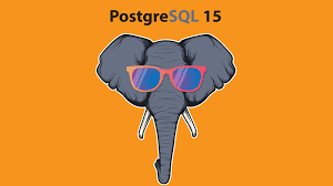 Install latest PostgreSQL 15 on Linux in best way - Maggi Minutes