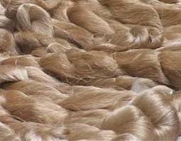It was previously reserved for the use of royalty. Muga Silk