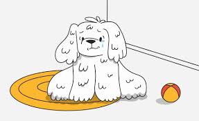 We did not find results for: Why Do Dogs Cry Tears 6 Unexpected Reasons Behind Dog Crying